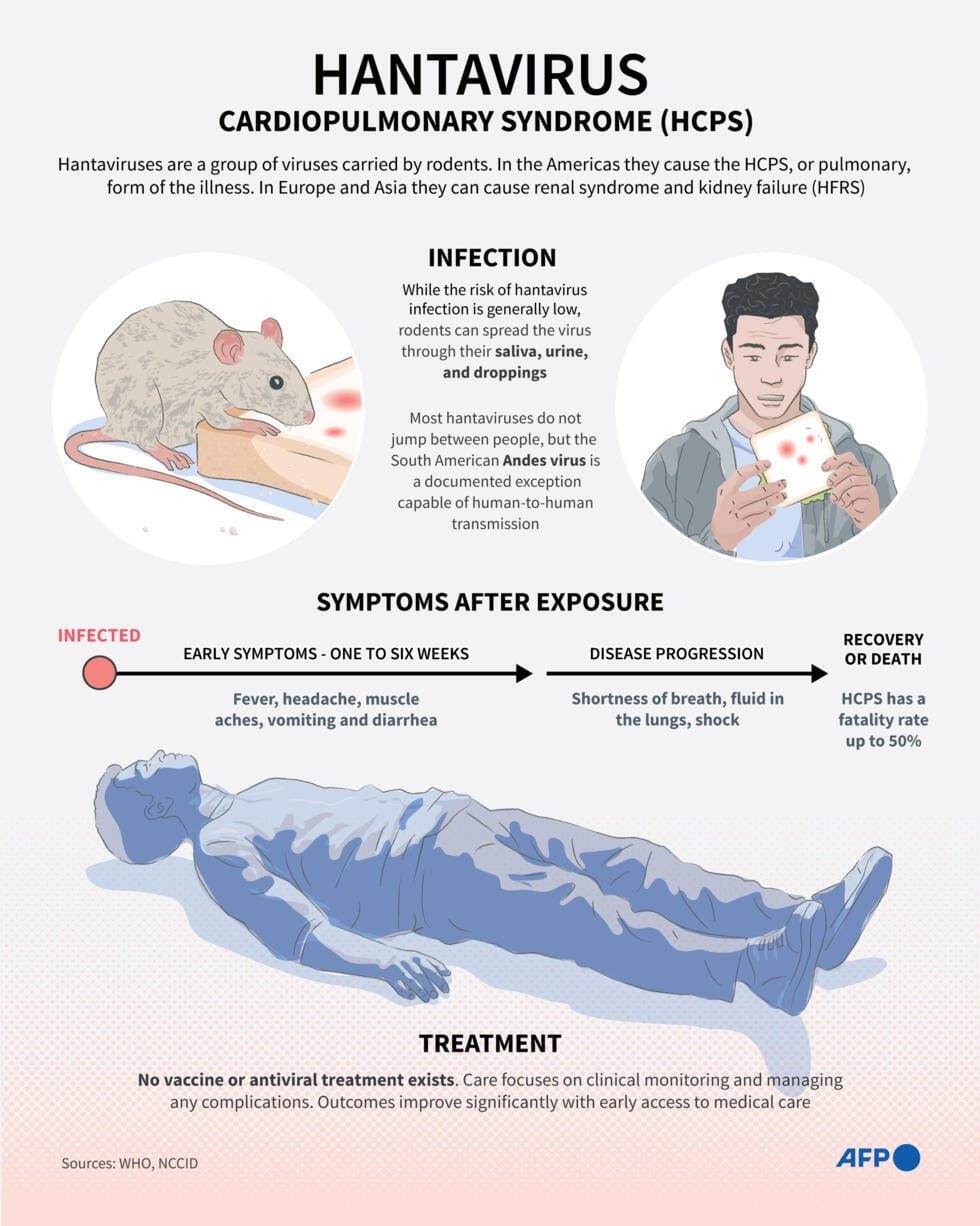 Hantavirus Cruise Ship WHO Update: Latest Health Alert and Safety Guidance